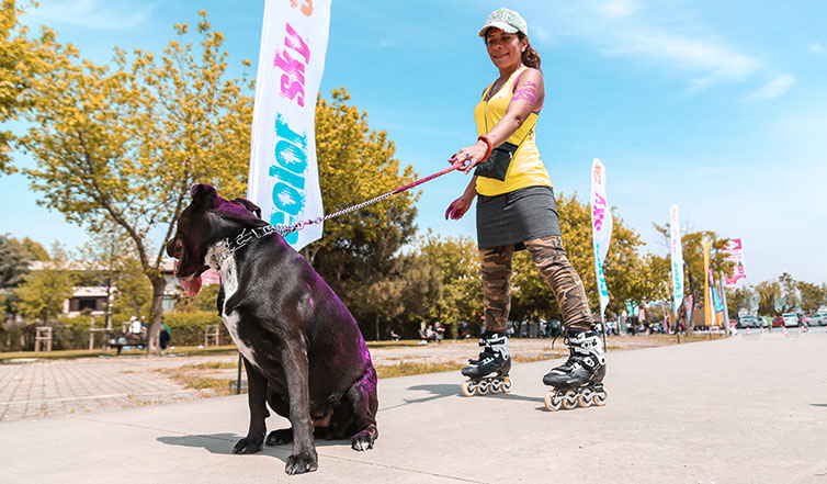 A-rollerblading-woman-taking-her-dog-for-a-walk
