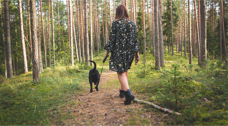 A-young-woman-walking-her-black-Labrador-retriever-through-the-woods