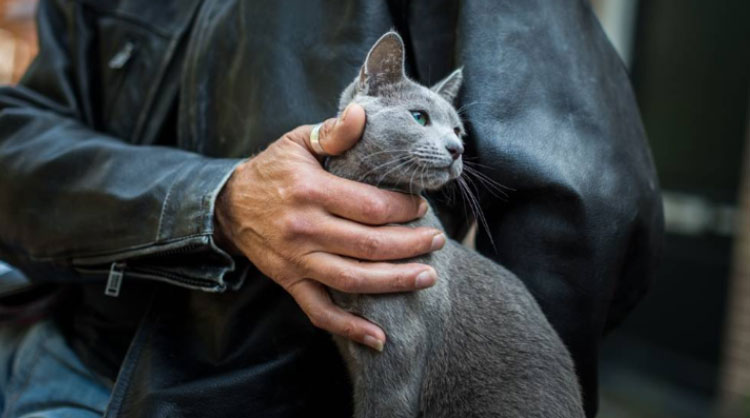 Man-in-a-black-leather-jacket-petting-a-grey-cat