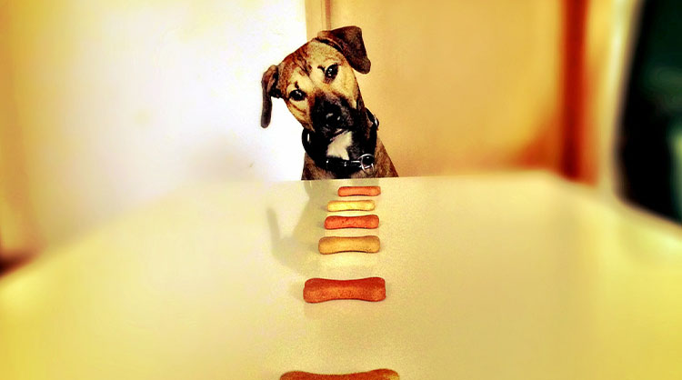 Peanut-Butter-Dog-Treats-2