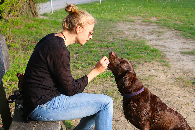 A woman feeding her dog a Bravecto Chew