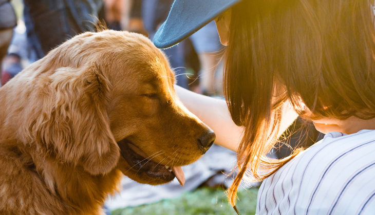 can dogs give tapeworms to humans